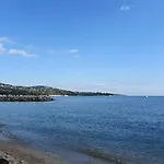 Best Holiday *